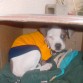 ahi esta en una caja esa era su casa cuando era chiquito.